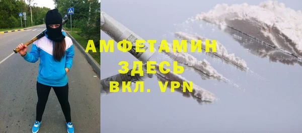хмурый Пересвет