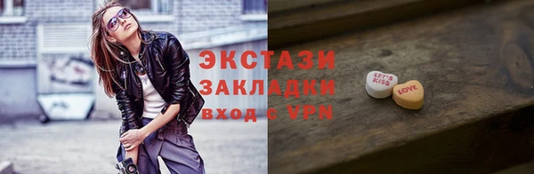 хмурый Пересвет