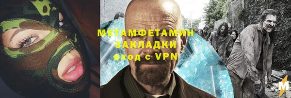 хмурый Пересвет