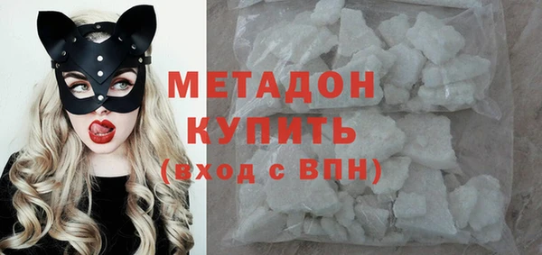 стаф Алзамай