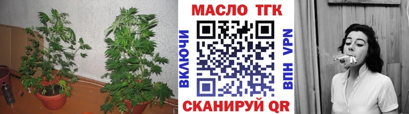ТГК THC oil Никольск