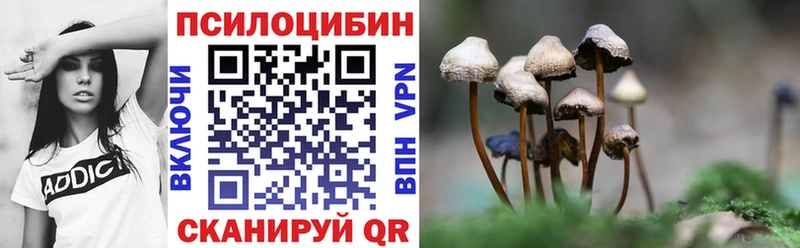 Галлюциногенные грибы Magic Shrooms  Никольск 