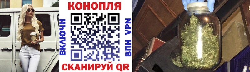Шишки марихуана MAZAR  Никольск 